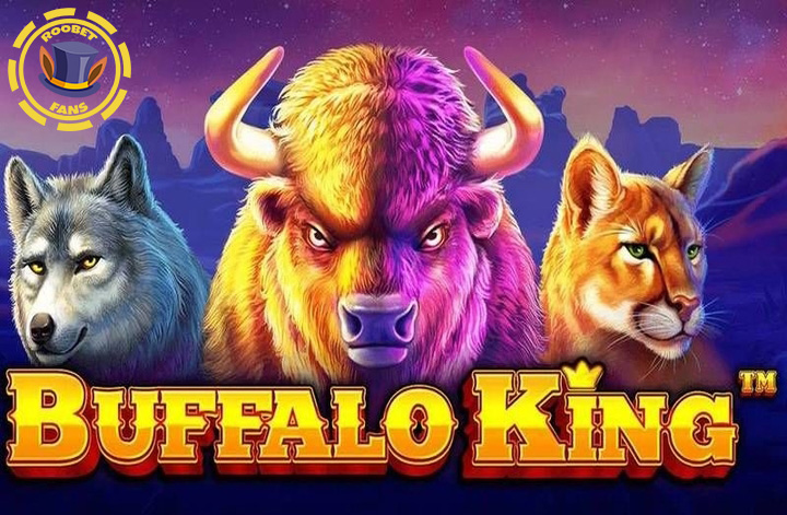 Buffalo King slot at Roobet